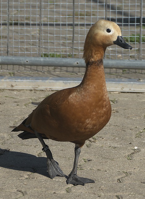 转折点