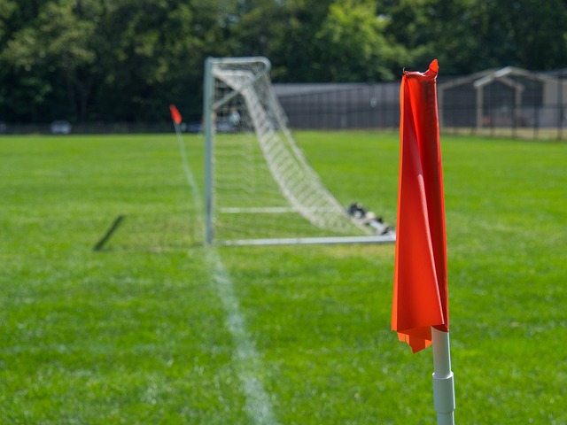 的崛起和竞 的崛起和竞