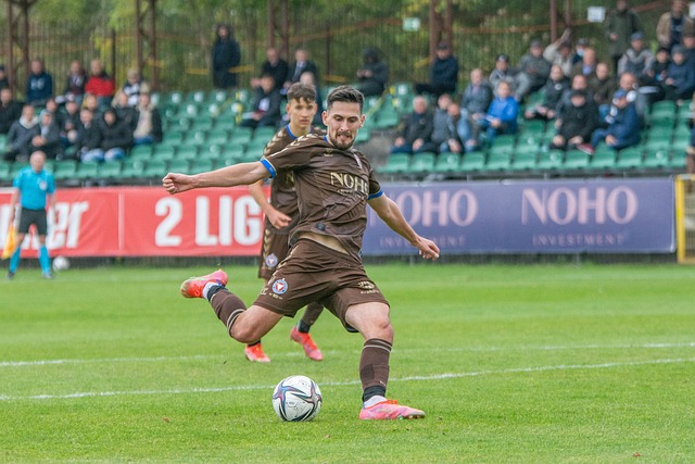 能在竞争激 能在竞争激