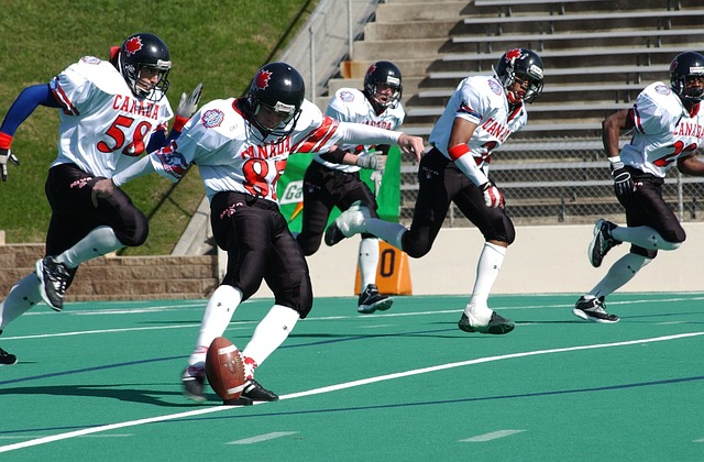 达给公众 达给公众