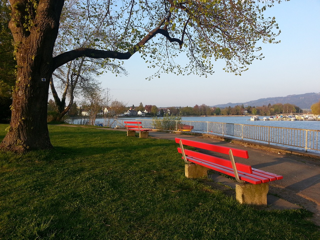 激烈较量 激烈较量