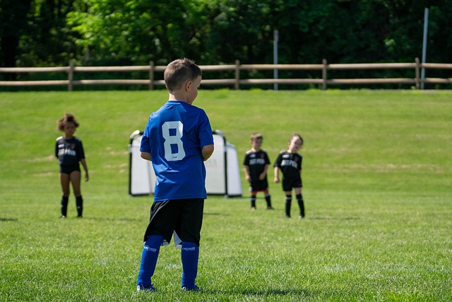 佳的他们未 佳的他们未