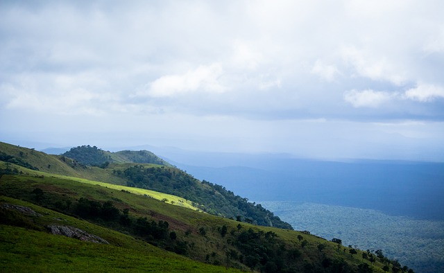 球员伤病中 球员伤病中