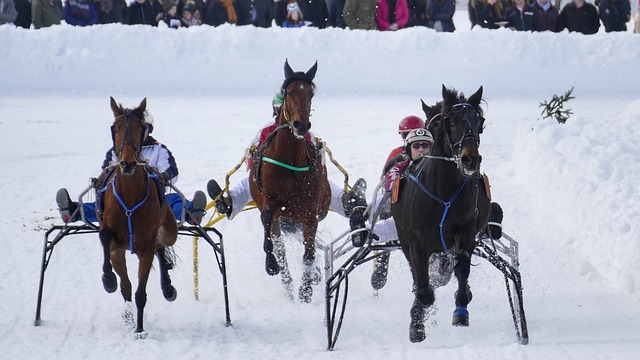 足球巅峰 足球巅峰