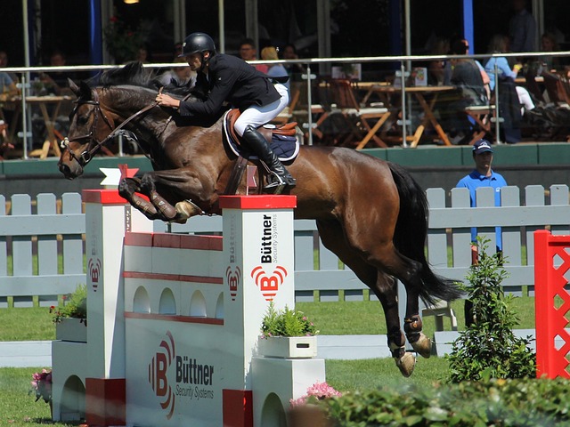 火箭队正在 火箭队正在