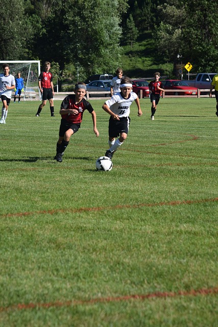 看到了他的 看到了他的